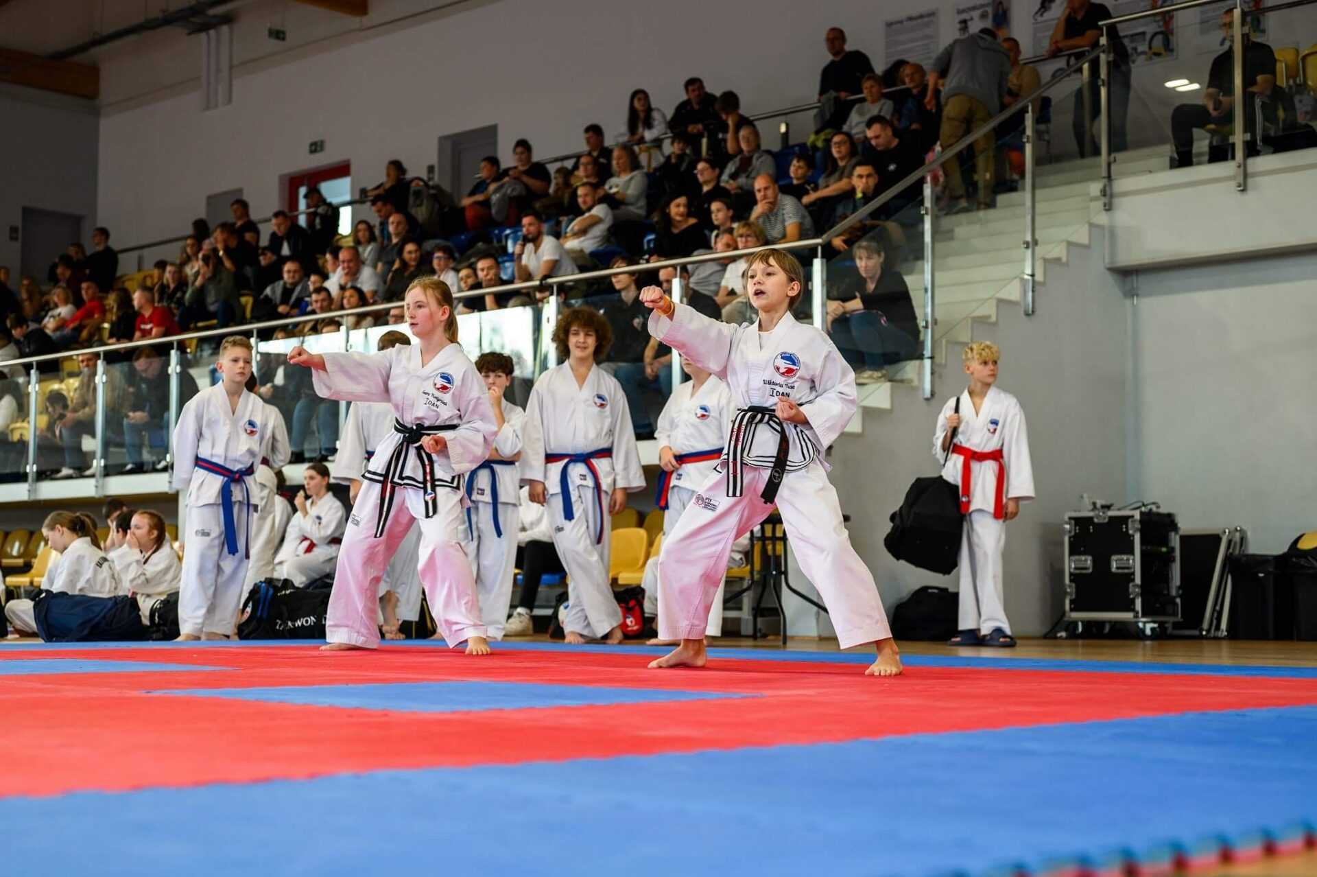 Zdjęcie w galerii klubu taekwondo - treningi dla najmłodszych dzieci